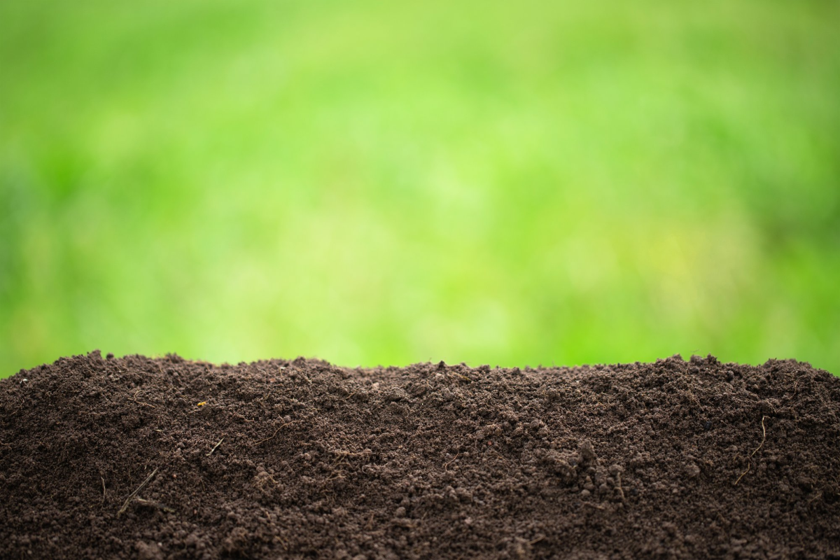 Soil regeneration