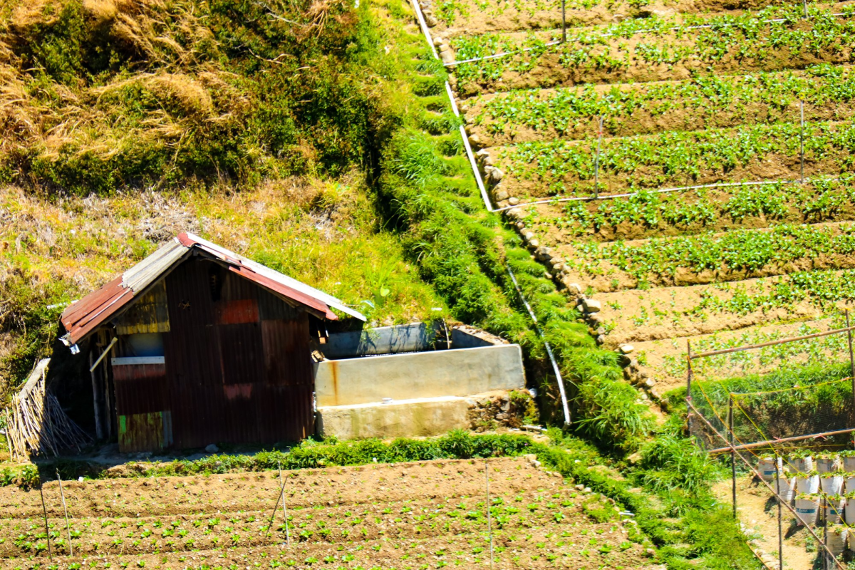 Small scale farming