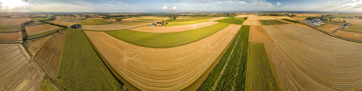 Large-scale farming