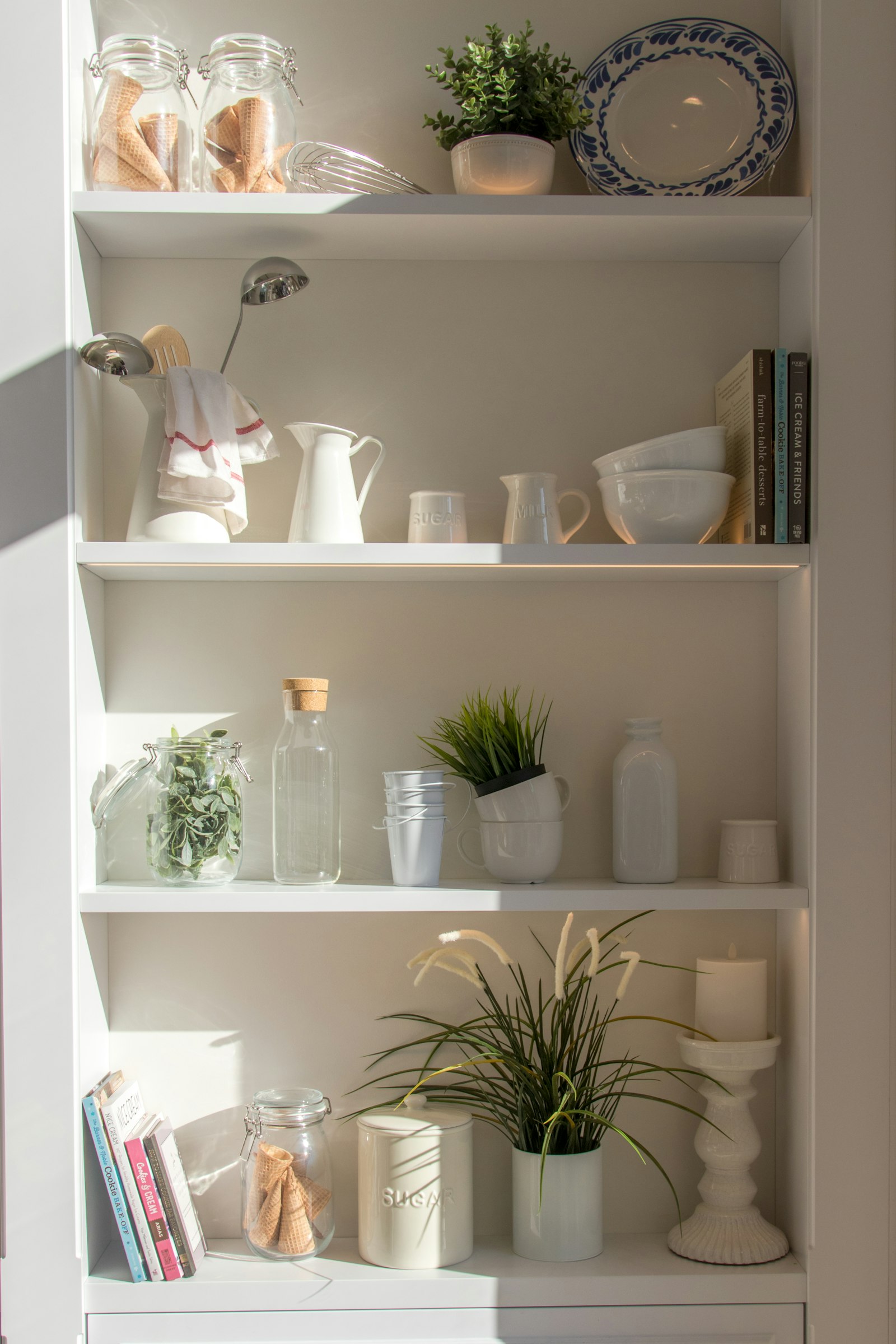 Distinct items kept on their own separate shelves, each in its proper place. Photo by Jason Leung on Unsplash, used under the free Unsplash License.
