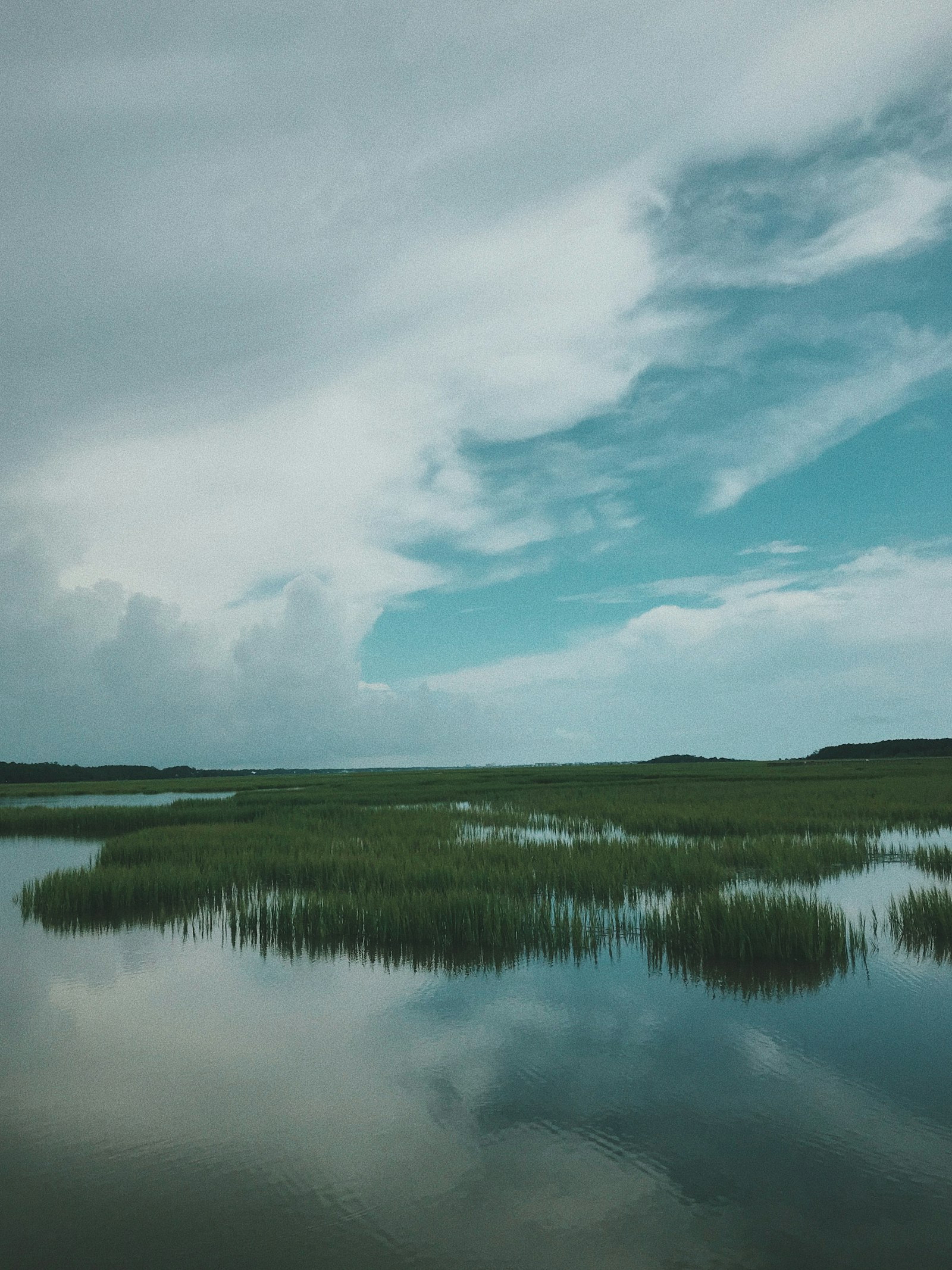 A wild wetland landscape, land given back to nature. Photo by Jordan Graff on Unsplash, used under the free Unsplash License.